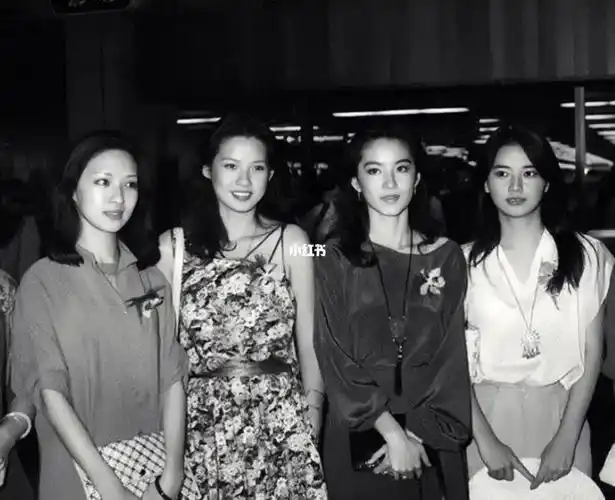 胡因梦林青霞最美