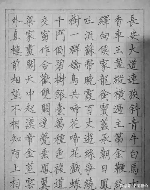 硬笔柳体,这书法,真有劲儿!