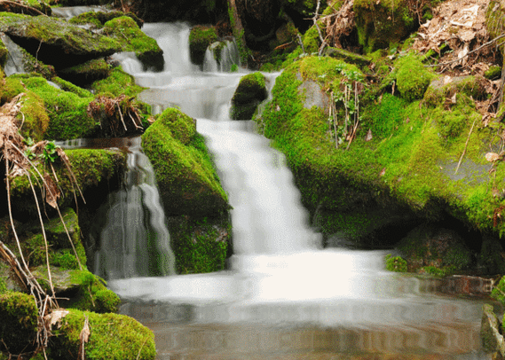 高山流水觅知音(仙境,醉了!
