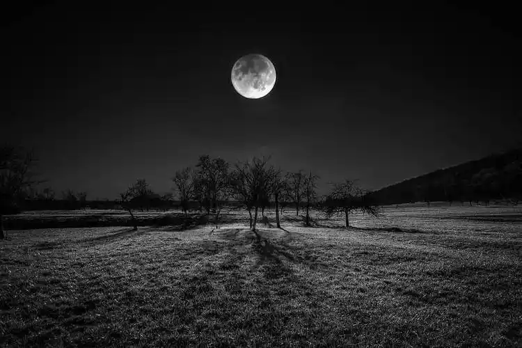 菲利普雅科泰意想不到的事物