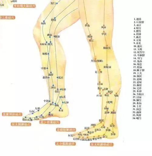 双腿反应全身病腿上这些疾病信号99人读不懂