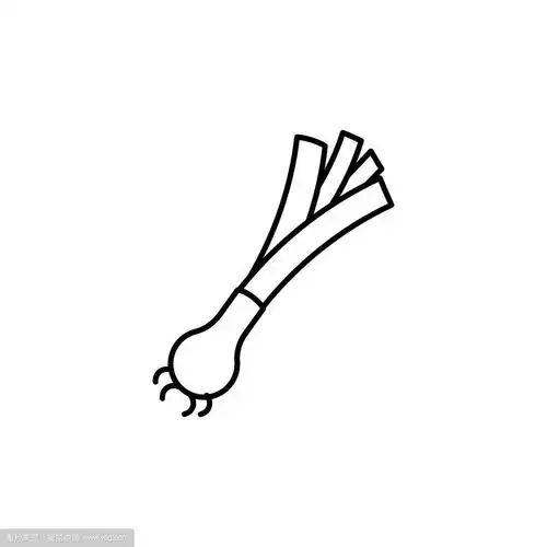 韭菜细线矢量图标.孤立蔬菜线性式蔬菜为菜单,标签.详细的素食标志.