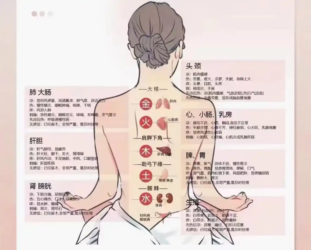 中药熏蒸养生,背部疏通,很多人不知道,做后背是为了什么?