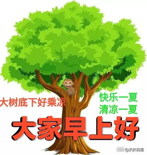 超好看的夏天早安问候图片天气炎热注意防暑图片带字祝福语短信句子