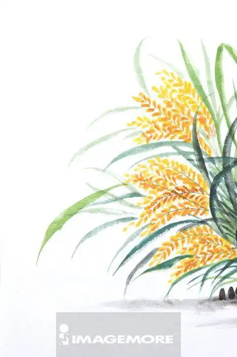 国画,稻米