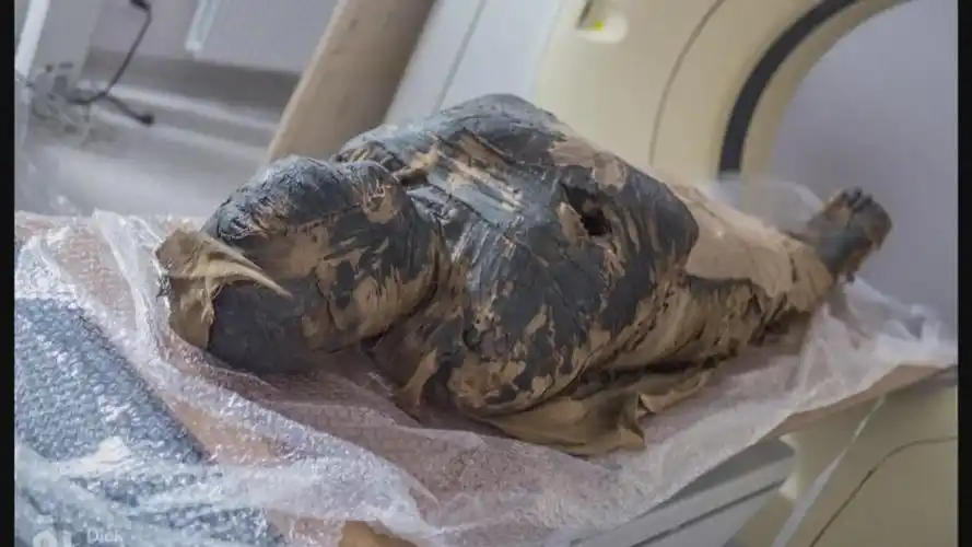 肚子里有只小脚!波兰发现世界第一具怀孕木乃伊