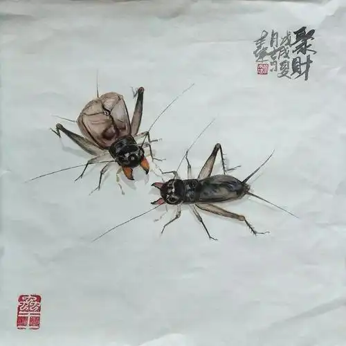 【展览进行时】秋声——徐本健蟋蟀画,唐裕龙旧藏蟋蟀盆展