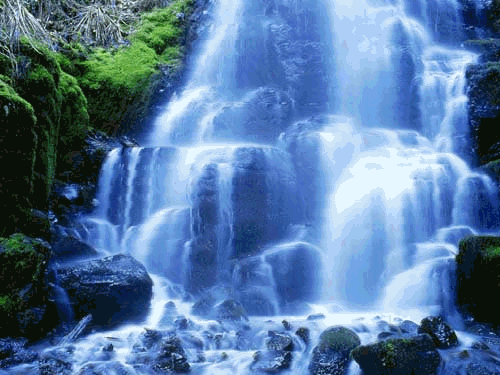 500_375gif 动态图 动图