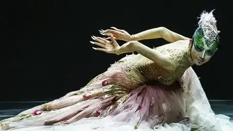 有没有喜欢杨丽萍老师舞蹈的请举手