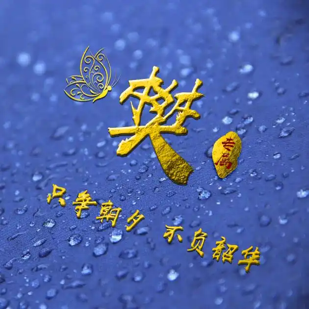 编号b02932张百家姓微信头像励志专属只争朝夕不负韶华