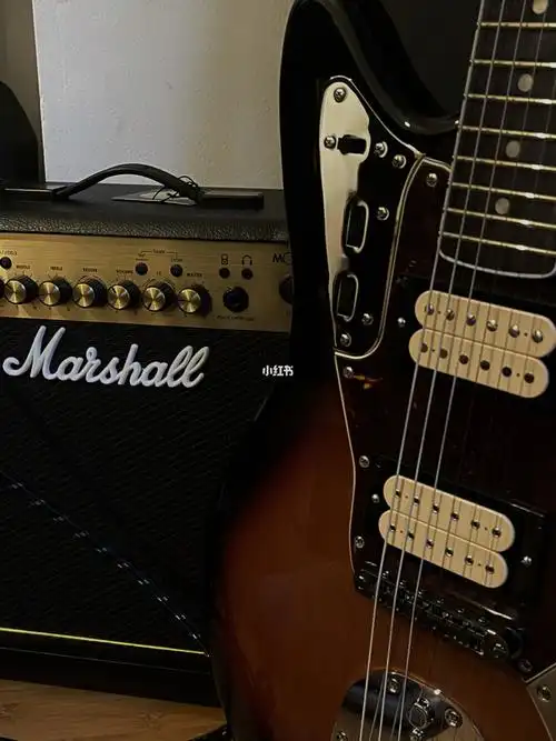 定了俩月的科本jaguar,就很奇妙.