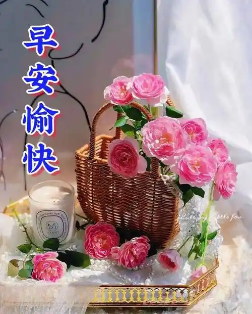 11月5日星期日早上好,精选早安祝福创意表情包图片带字带问候语录