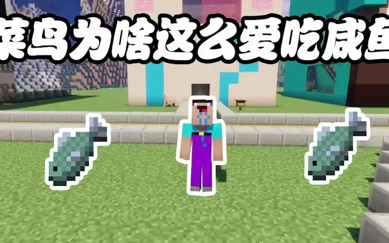 我的世界:菜鸟为什么爱吃咸鱼?_哔哩哔哩 (゜-゜)つロ 干杯~-bilibili
