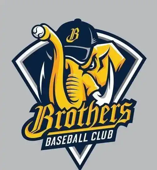 自带气场与霸气的形象设计.