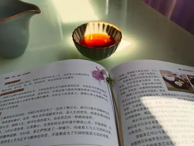 读上一本书 ,窗帘半开斑驳的阳光洒在身上, 洒在茶杯上,洒在书上, 我