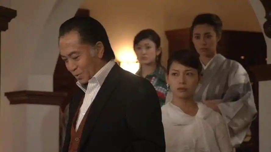 付费求极乱家族