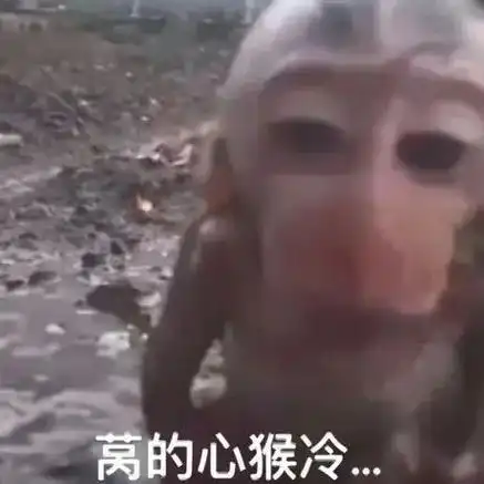 猴子吗喽表情包 | 想o尿