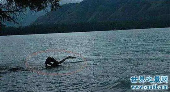 世界十大水怪,喀纳斯水怪具有15米非常凶猛