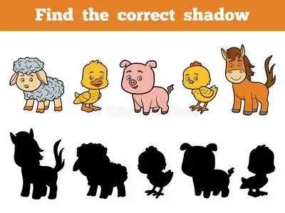 为孩子们找到正确的影子. 农场动物照片