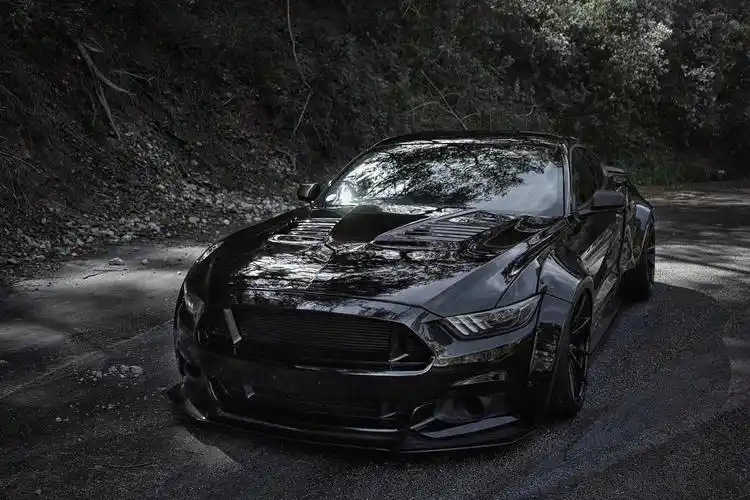 一匹黑色野马mustang