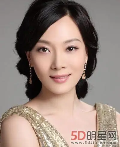 柳云龙前妻陈数是丁克吗 女性中很了不起的女强人