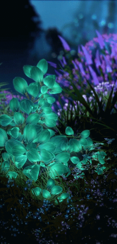 400_831竖版 竖屏gif 动态图 动图