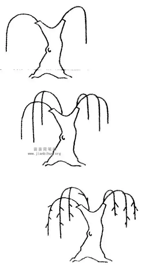 柳树简笔画,儿歌与知识