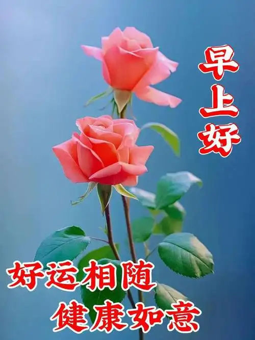 2023年8月24日清晨早安精选问候祝福图片问候祝福轻轻送晨安吉祥