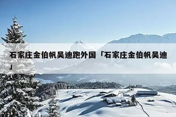 石家庄金伯帆吴迪跑外国「石家庄金伯帆吴迪」