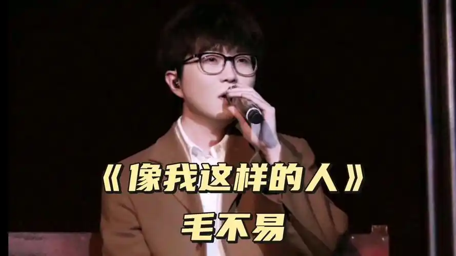 《像我这样的人》毛不易