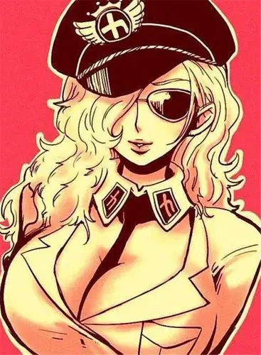 海贼王中没有露出眼睛的几个女性角色其中两个还是同事