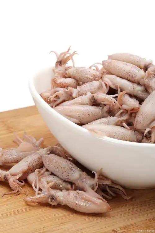 章鱼和鱿鱼的区别