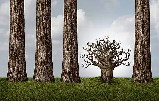 相对,思考,概念,多,大树,一株,树干,倒立,展示,根部,商务,插画