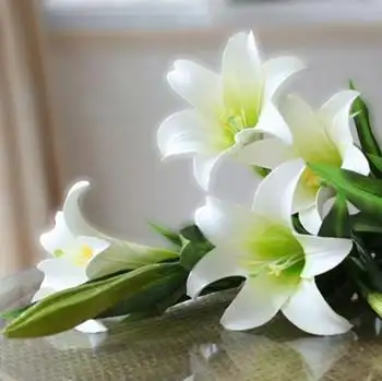 香水百合怎么养香水百合图片欣赏