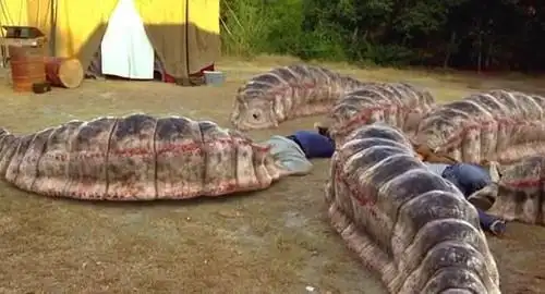 介绍几部关于食人蚂蚁的电影没错,小霸王抄袭无穷啊.