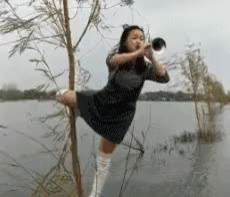 萌宠表情 萌娃表情 斗图表情 锦鲤 土味语录 套路图来自:soogif 应用