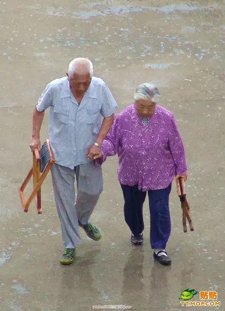 《一生相伴》从"牵手"到"白头",携手.