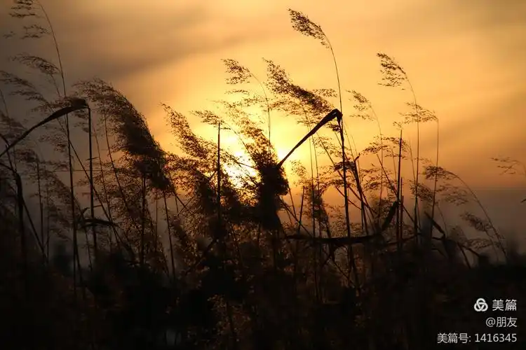 夕阳无限好,最美是黄昏.