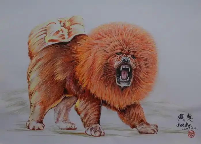 西藏元素,藏獒,彩铅画.