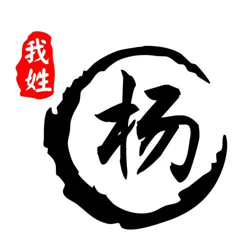 魂速遮盖划痕摩托电瓶车文字汽车装饰杨文字我姓百家姓汽车装饰贴