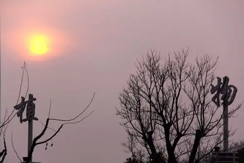 【图片21】冬日的植物园 第一张有plmm哈--蜂鸟论坛照片套图