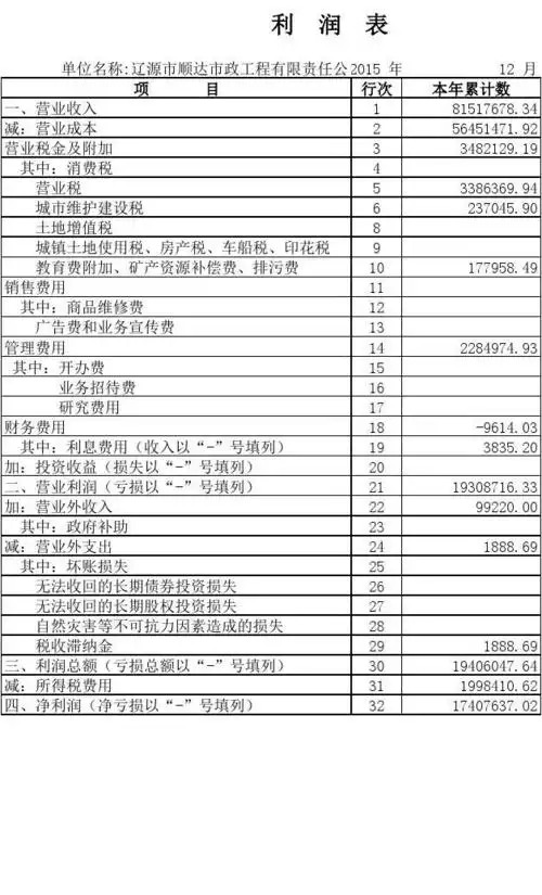 15年利润表模板