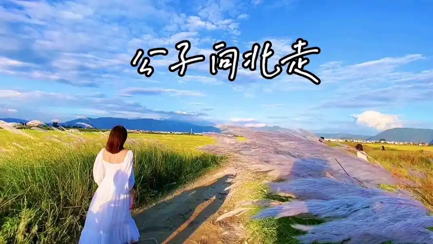 公子向北走十孔口琴