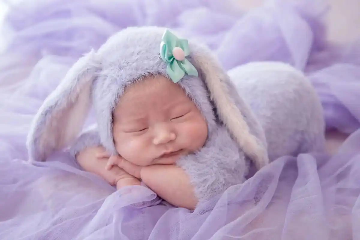 兔宝宝的满月照 熟睡中乖巧萌萌的模样 可爱的小兔崽崽照型 怎 - 抖音