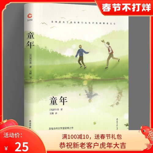 童年 高尔基 先锋经典文库 精装典藏 世界经典文学名著 中外文学名著