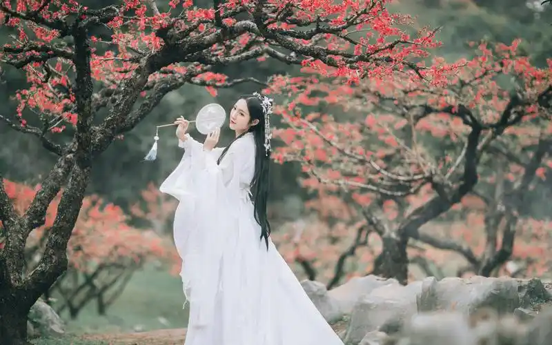 白衣美女仙气写真图片桌面壁纸