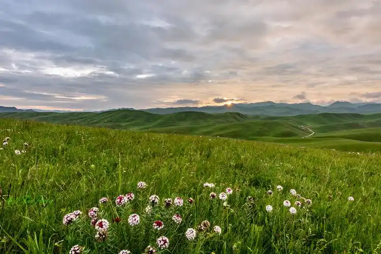 守望草原日出摄于甘南桑科草原