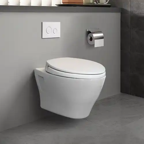 恒白壁挂式马桶cw941b家用陶瓷悬空坐便器隐藏水箱入墙式墙排挂厕