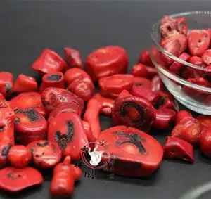 10件包邮大颗粒红色海竹染色珊瑚红颜色七宝石佛像佛塔曼扎供奉