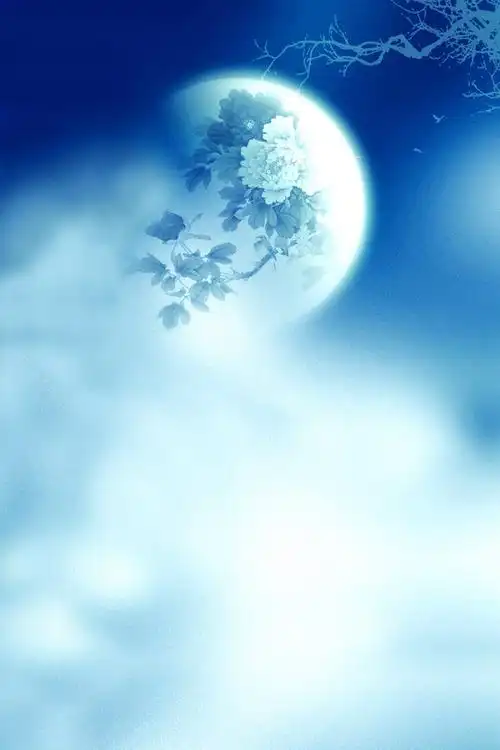 摄影背景布高清大图影楼棚拍照片常用的背景素材-唯美篇(14p)[photosh